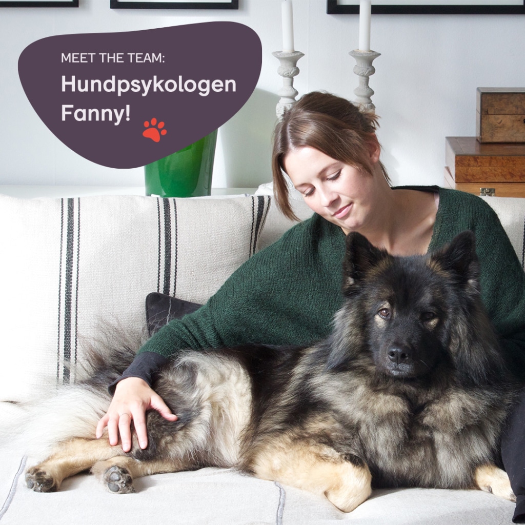 Hundpsykologen Fanny