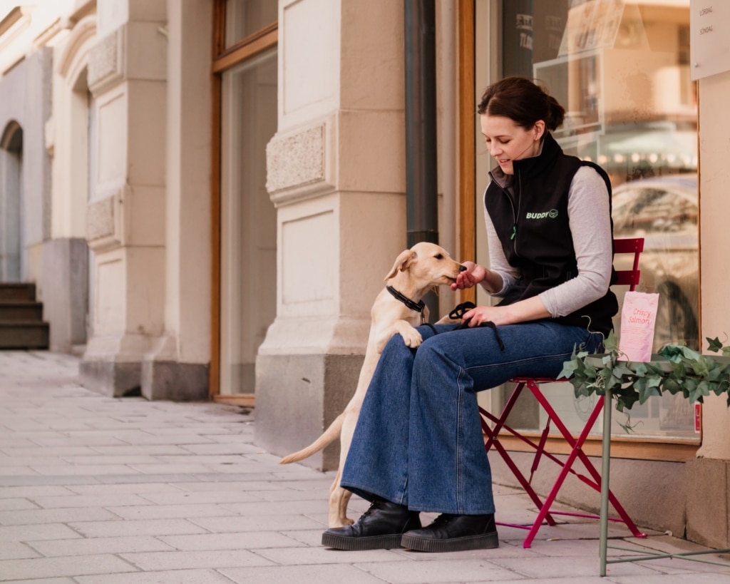 Lär hunden att följa med på uteserveringar