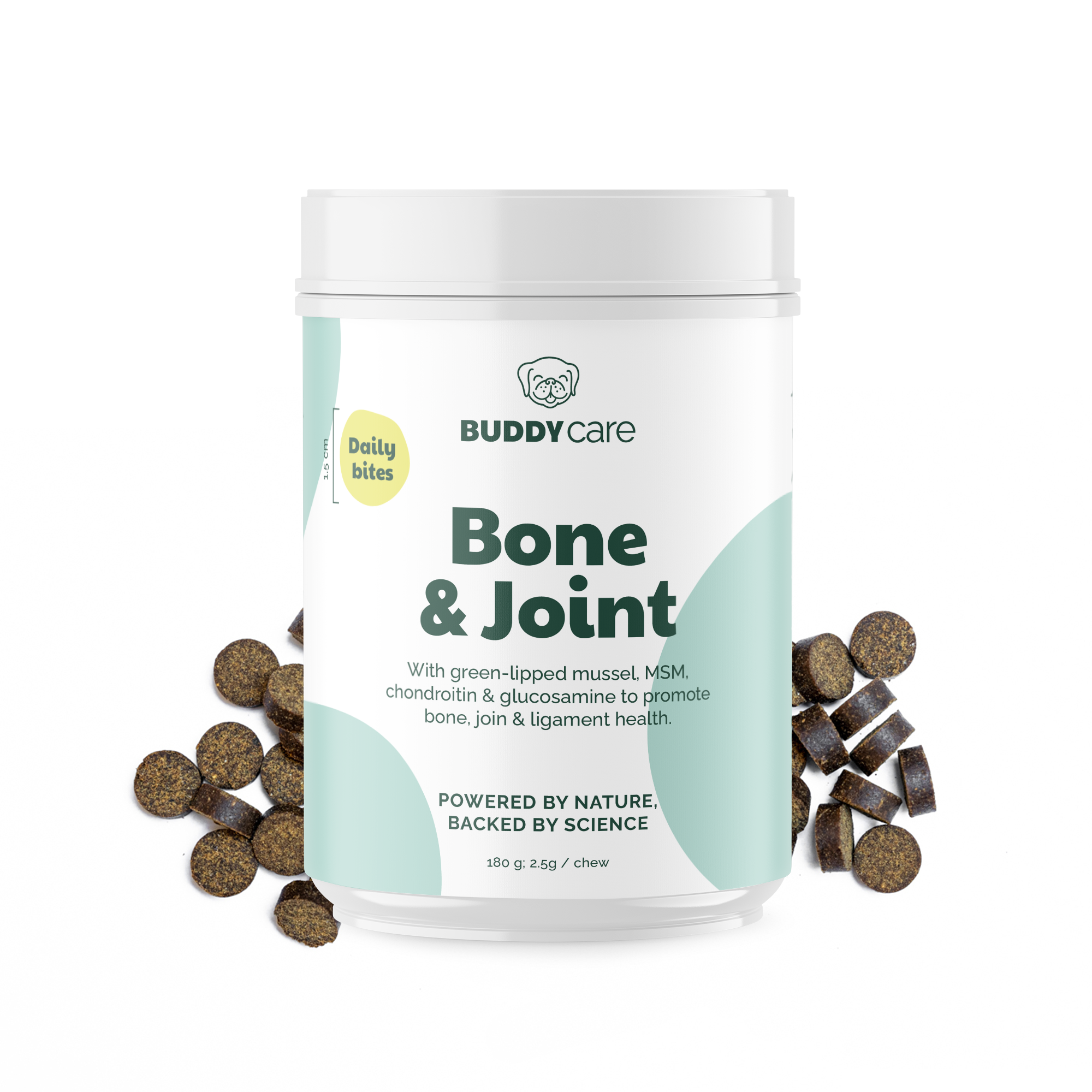 bone-joint_front
